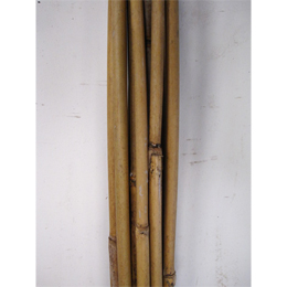 天然竹支柱
